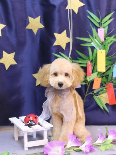 20230729りとくん